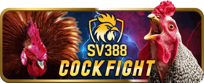 Tiền thưởng nạp lại và hoàn trả 88cbl casino